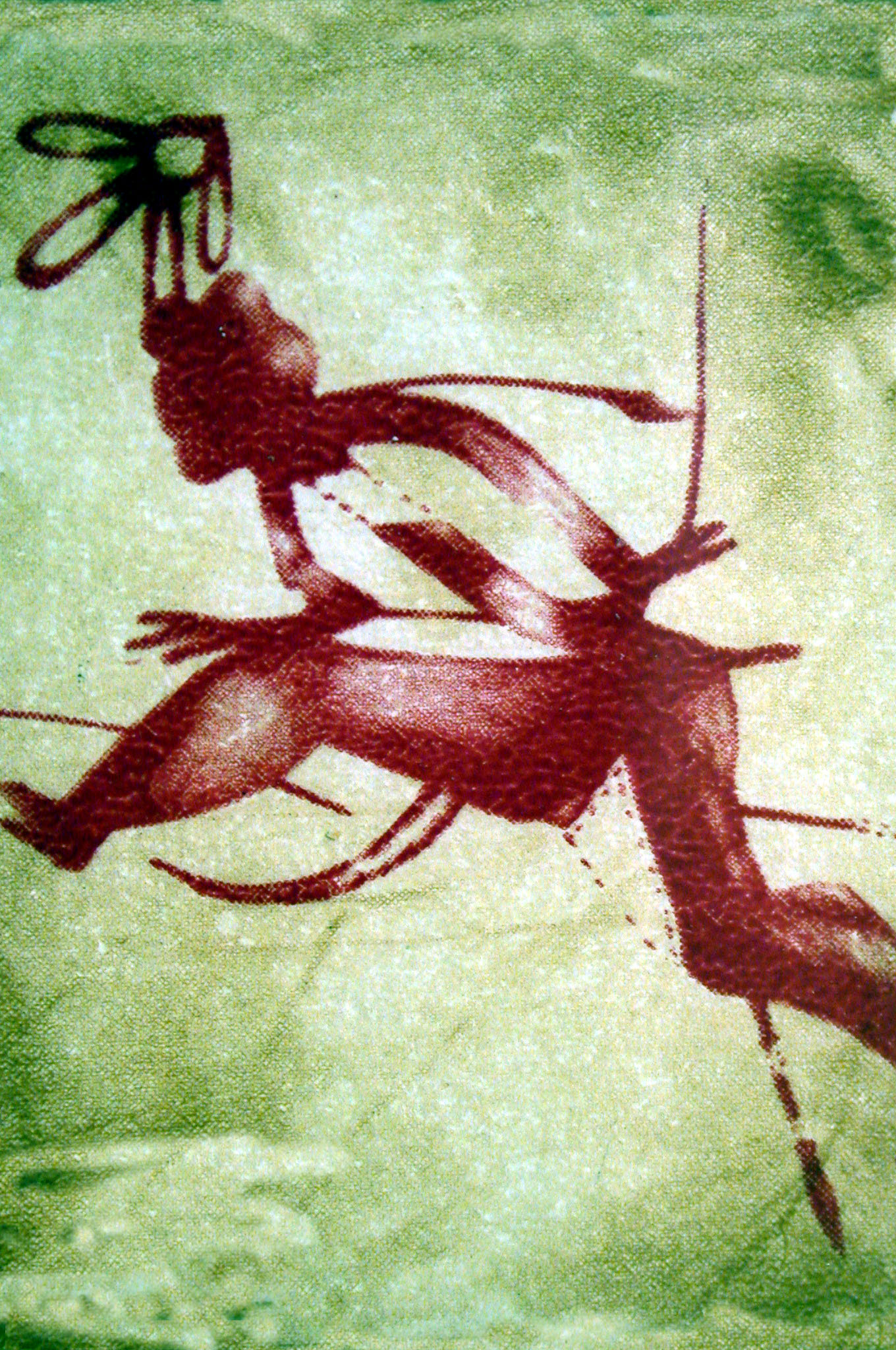 Cazador