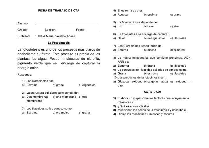 evaluacion