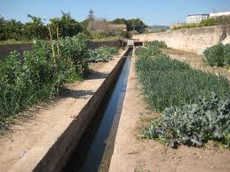 Acequia