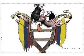 images (1)
