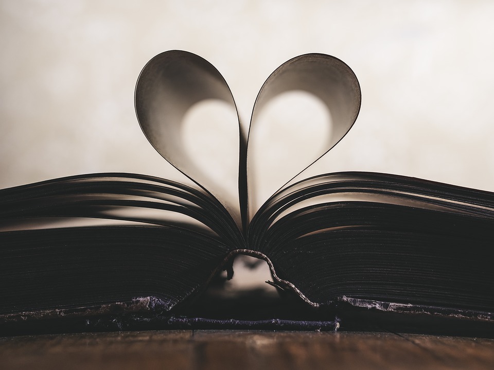 Pixabay. Amor y literatura