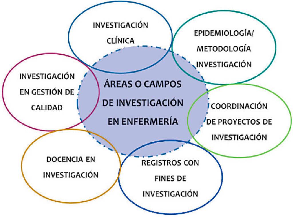 &Aacute;reas de investigaci&oacute;n en la Rama de la Enfermer&iacute;a