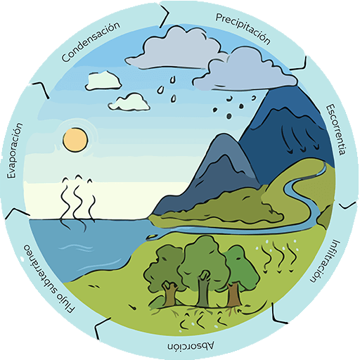 Ciclo del agua.